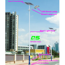 WPSRR-8503 3~15m Municipal Road Hot DIP Galvanized Steet Light Pole style